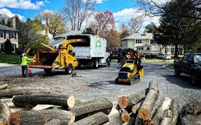 Best Tree Trimming and Pruning  in Mccom, MS